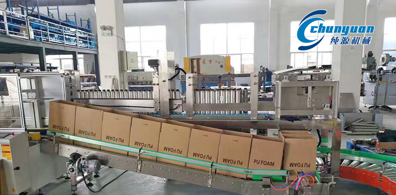 装箱机，挑选装箱机，纯源装箱机，纯源机械